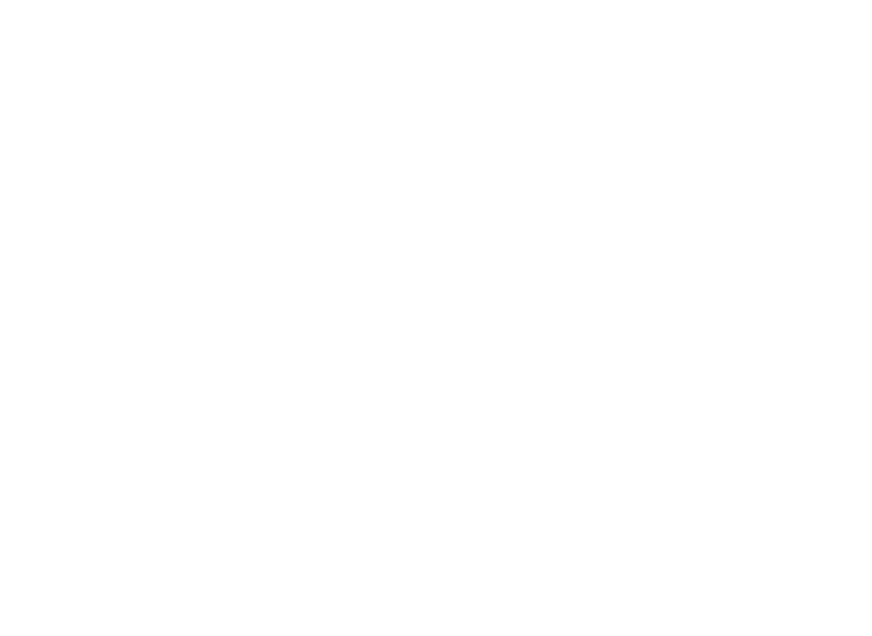 MagNet Faktor